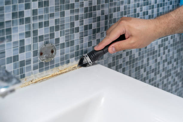 Certified Mold Removal in Winterset, IA