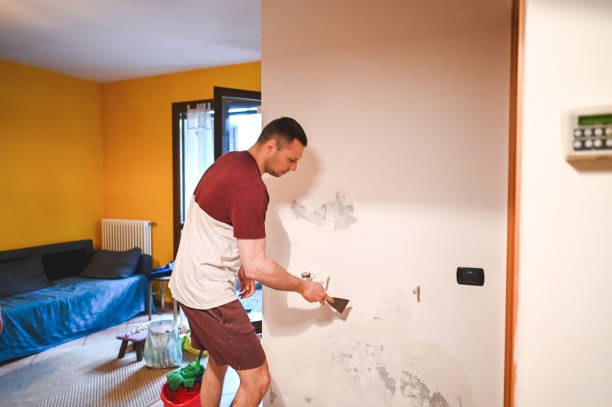 Best Residential Mold Removal  in Winterset, IA
